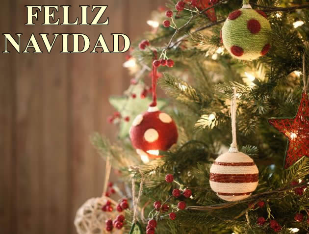 Imágenes árbol de Navidad